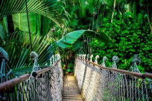 Ökotourismus in Brasilien - Hängebrücke einer Unterkunft im Dschungel.